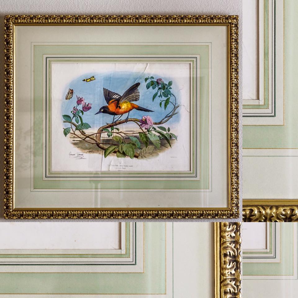 A framed painting of a bird