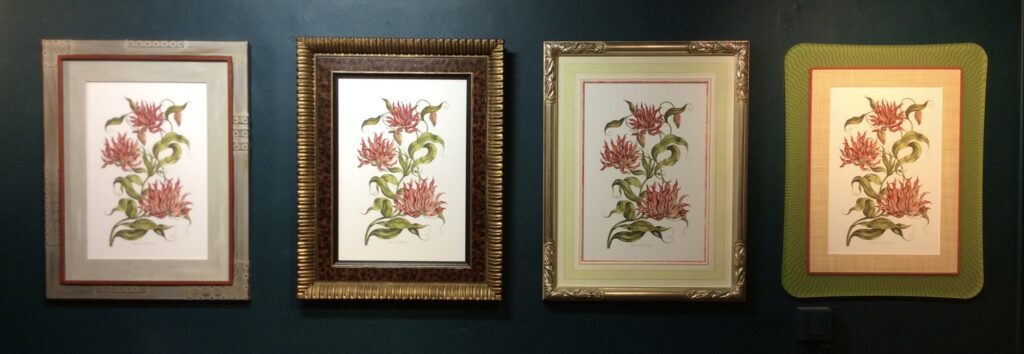 Paintings of flowers with different frames